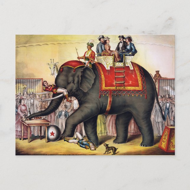 Cartão Postal Vintage Circus Elephant (Frente)
