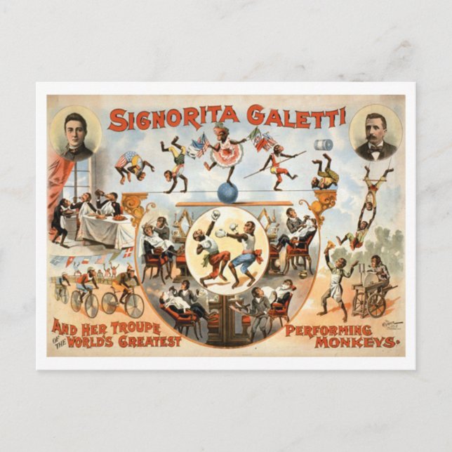 Cartão Postal Vintage Circus Galetti e Macacos Artistas (Frente)