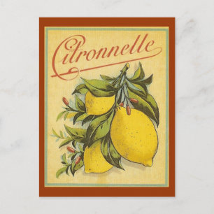 Cartão Postal Vintage Citronnelle Ad