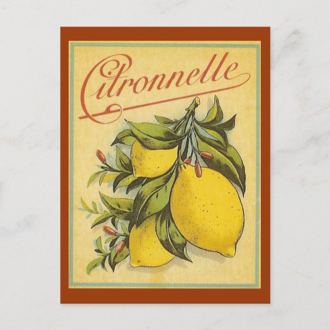 Cartão Postal Vintage Citronnelle Ad (Frente)