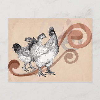 Cartão Postal Vintage Cochin Chickens