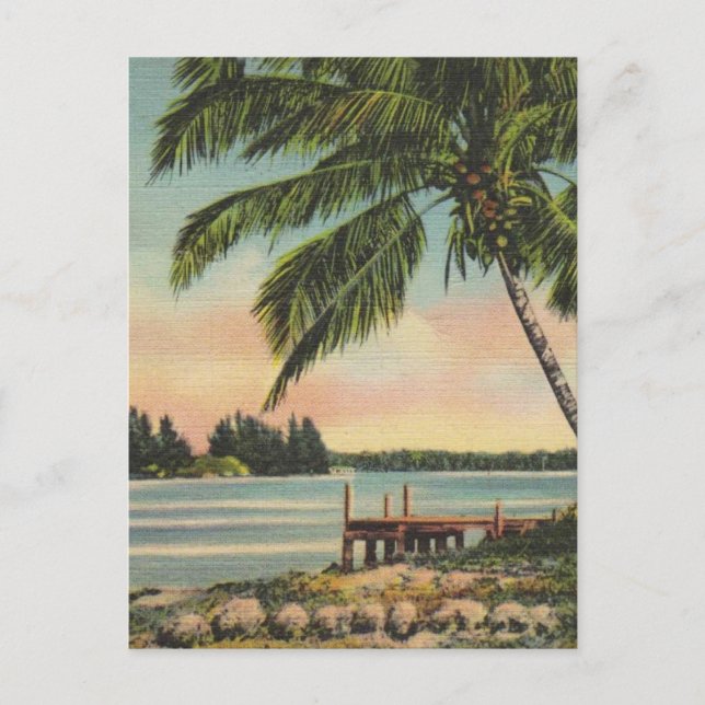 Cartão Postal Vintage Coconut Palms Tropical Breeze Sunset (Frente)