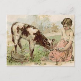 Cartão Postal Vintage Country Girl alimentando vitela