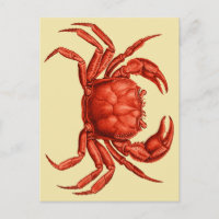 Vintage Crab Design