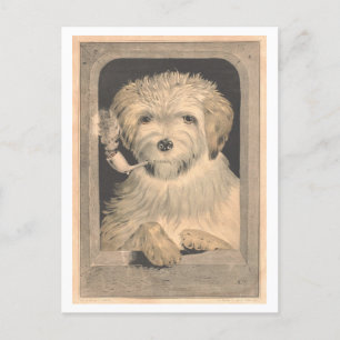 Cartão Postal Vintage Currier & Ives Dog Smoking a Pipe