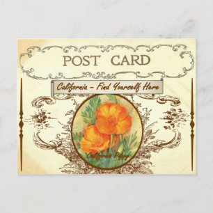 Cartão postal vintage da flor do estado da Califór