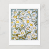 Vintage Daisies no Cartão-Postal Azul