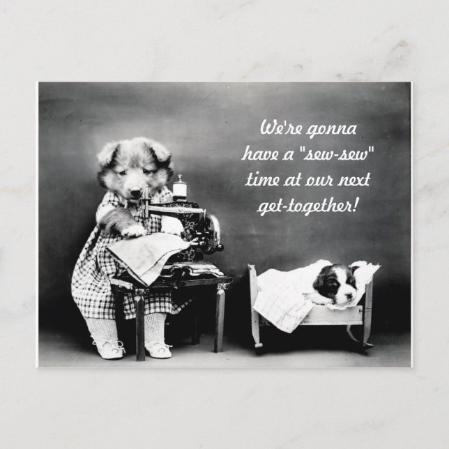 cartão postal vintage de cachorro "Sew-Sew" (Frente)