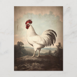 Cartão Postal Vintage de Ilustração White Rooster Inspirada