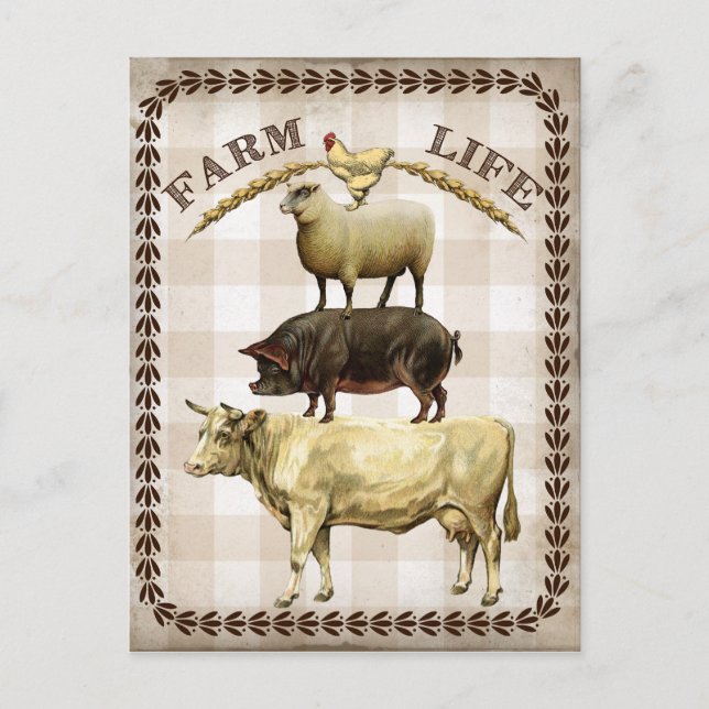 Cartão postal vintage de vida na fazenda (Frente)