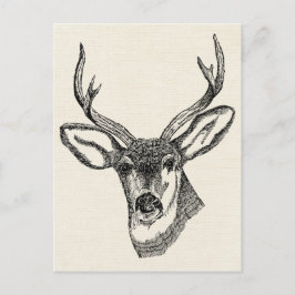 Cartão Postal Vintage Deer