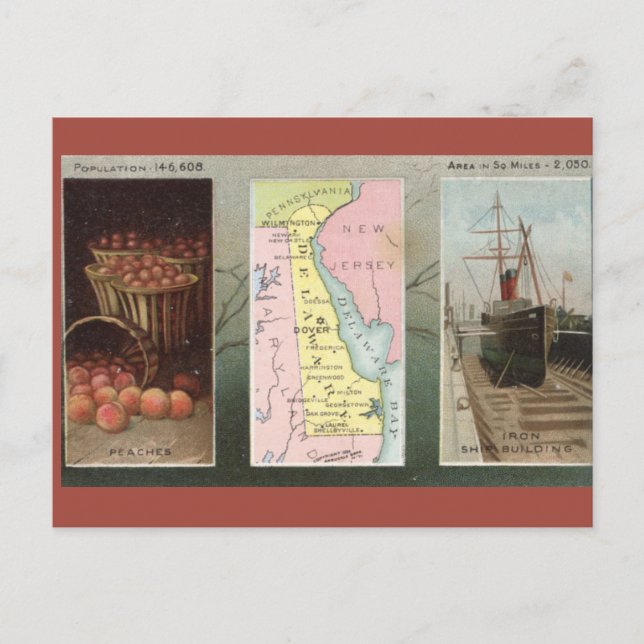 Cartão Postal Vintage Delaware (Frente)