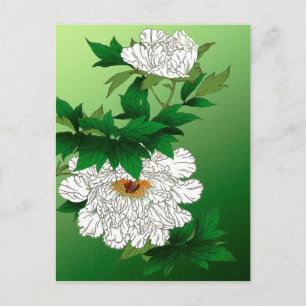 Cartão Postal Vintage - Desenho Japonês de Grande Pensão Branca