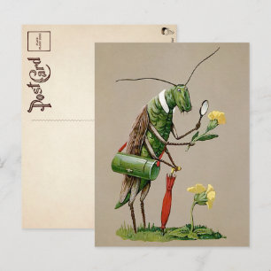 Cartão postal vintage do gafanhoto vitoriano