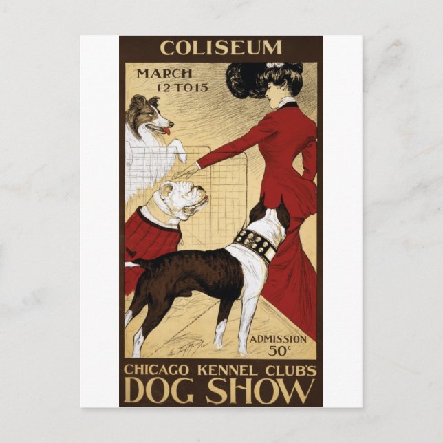 Cartão postal Vintage Dog Show Chicago (Frente)