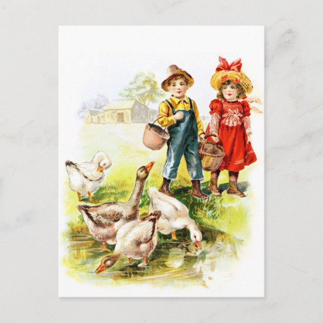 Cartão Postal Vintage Drawing: Alimentando os Gansos (Frente)