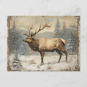 Cartão Postal Vintage Elk Scenic Rustic Junk Diário