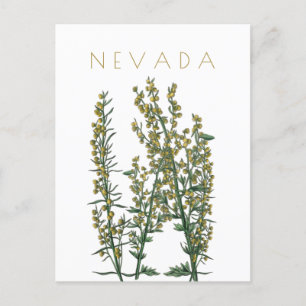 Cartão Postal Vintage, estado de Nevada, meio século de viagem