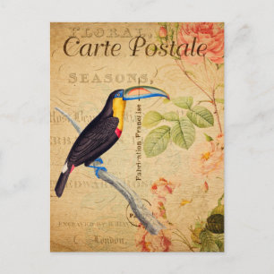 Cartão Postal Vintage Exotic Tropical Toucan Bird Floral French