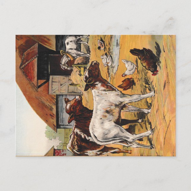 Cartão Postal Vintage Fazenda Yard (Frente)