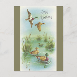 Cartão Postal Vintage Feliz Aniversário Com Patos