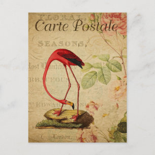 Cartão Postal Vintage Flamingo Pink Roses Floral