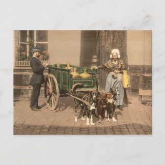 Cartão Postal Vintage Flemisfério Maid