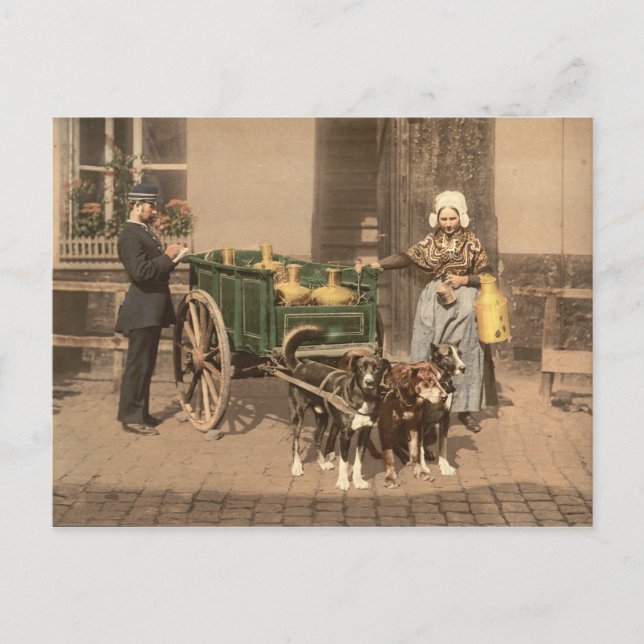 Cartão Postal Vintage Flemisfério Maid (Frente)