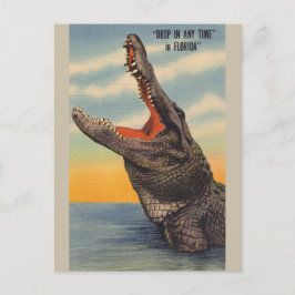 Cartão Postal Vintage Florida Alligator Post Card
