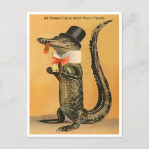 Cartão Postal Vintage Flórida Alligator Vestido Viagem