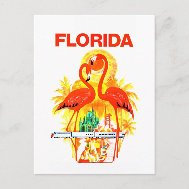 Cartão Postal Vintage Florida Flamingos Viagem (Frente)