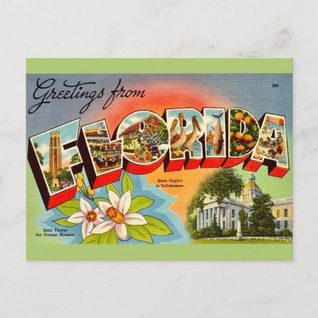 Cartão Postal Vintage Florida Saudação (Frente)