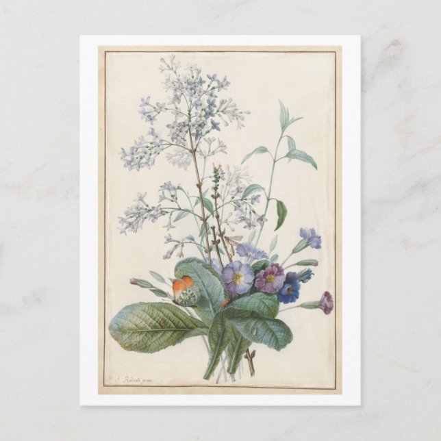 Cartão postal Vintage Flower (Frente)