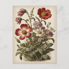 Cartão Postal Vintage Flower Illustration 
