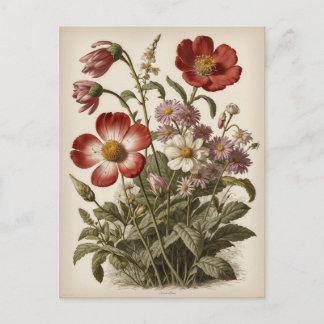 Cartão Postal Vintage Flower Illustration 