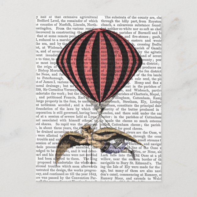 Cartão Postal Vintage Flying Machine (Frente)