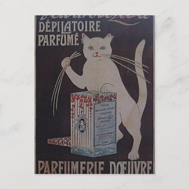 Cartão Postal Vintage French Advertisement - cats (Frente)