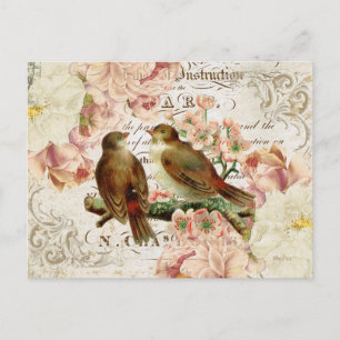 Cartão postal Vintage French Birds