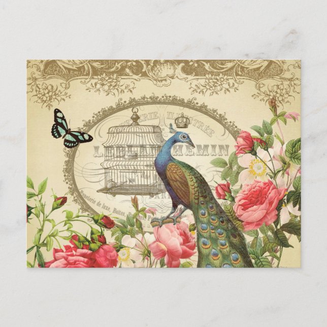 Cartão postal Vintage French Peacock (Frente)