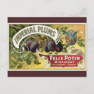 Cartão Postal Vintage Fruta Crate Label Art, Imperial Plums