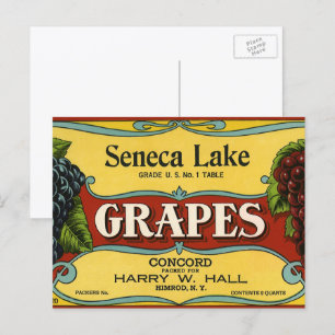 Cartão Postal Vintage Fruta Crate Label Art, Seneca Lake Graphic