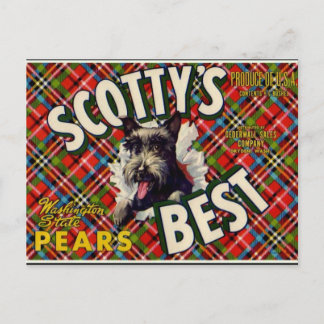 Cartão Postal Vintage Funny Scotty Dog Xadrez label