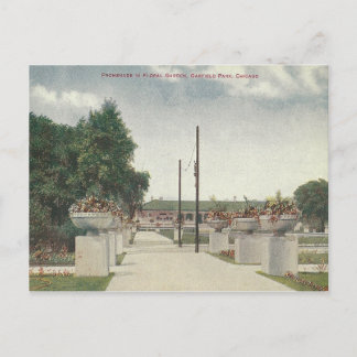 Cartão Postal Vintage Garfield Park Chicago Illinois