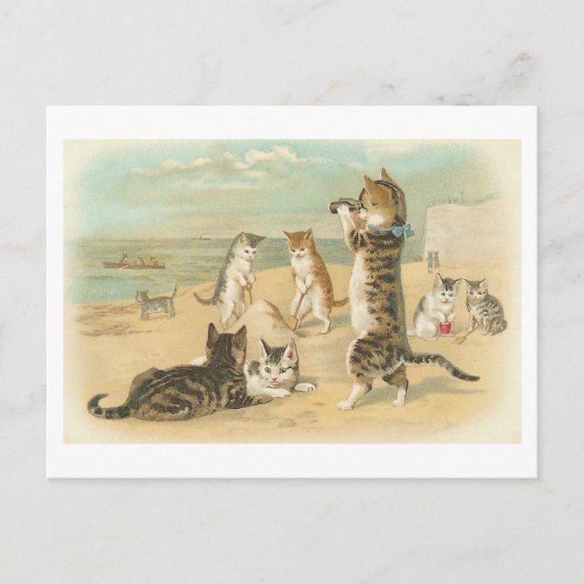 Cartão postal Vintage "Gatos na Praia" (Frente)