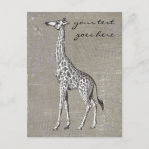 Cartão Postal Vintage Giraffe