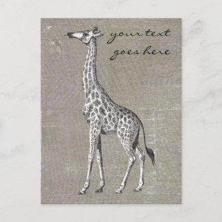 Cartão Postal Vintage Giraffe
