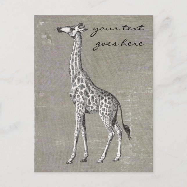 Cartão Postal Vintage Giraffe (Frente)