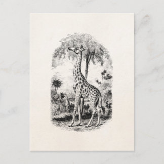 Cartão Postal Vintage Giraffe - Ilustração Animal Personalizada