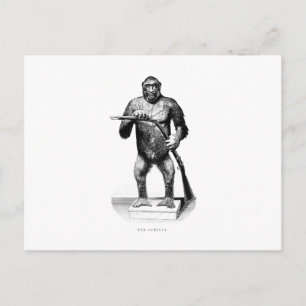 Cartão Postal Vintage Gorilla dos anos 1800 - Apes e Gorillas Mo