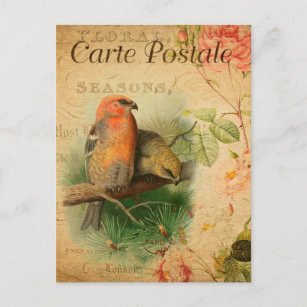 Cartão Postal Vintage Gosbeak Birds Floral French Carte Postale